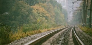 La incertidumbre del transporte ferroviario tras el accidente de Adamuz: análisis de las consecuencias a train track with trees in the background