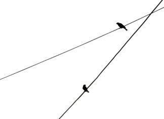 El equilibrio político en Aragón: Entre la estabilidad institucional y los nuevos desafíos de gobernanza a couple of birds sitting on top of a power line