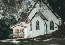 Transforma tu hogar en un santuario de bienestar: 7 estrategias científicamente respaldadas white and black wooden house near trees