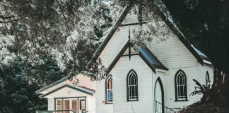 Transforma tu hogar en un santuario de bienestar: 7 estrategias científicamente respaldadas white and black wooden house near trees
