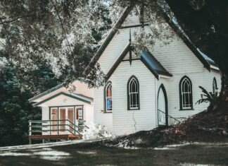 Transforma tu hogar en un santuario de bienestar: 7 estrategias científicamente respaldadas white and black wooden house near trees