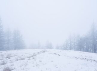 Condiciones climáticas favorables impulsan las expectativas del Maratón de Sevilla 2026 a snow covered field with trees in the background