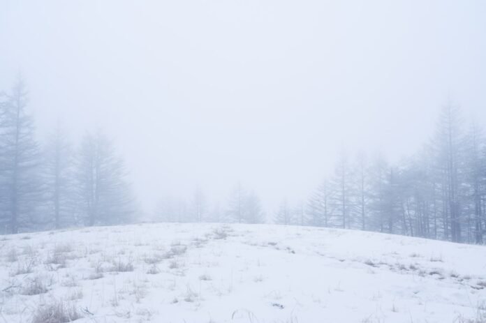 a snow covered field with trees in the background