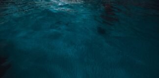 La conservación marina en España: un desafío urgente para la protección de cetáceos Underwater view of dark blue ocean water.