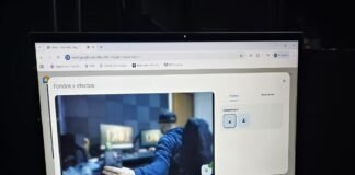 El fenómeno de servidores públicos que ayudan a combatir estafas cripto: el caso de Loki Crypto Space Loky Crypto Space