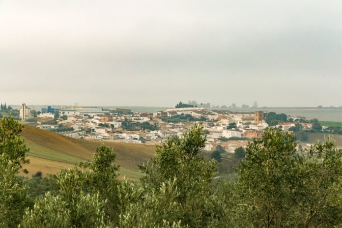 a view of a small town from a hill