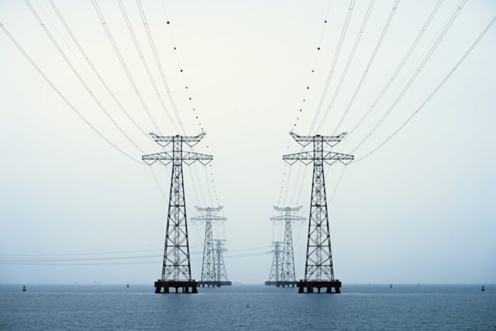 A couple of power poles sitting in the middle of a body of water