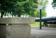 Los procesos disciplinarios en la carrera diplomática: transparencia y rendición de cuentas en el servicio exterior text