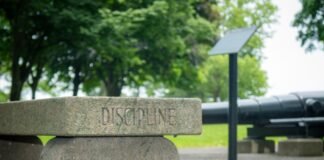 Los procesos disciplinarios en la carrera diplomática: transparencia y rendición de cuentas en el servicio exterior text