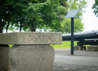 Los procesos disciplinarios en la carrera diplomática: transparencia y rendición de cuentas en el servicio exterior text