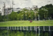 La inversión verde en infraestructura hídrica marca el futuro de la sostenibilidad empresarial A reflection of a park in a body of water