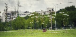 La inversión verde en infraestructura hídrica marca el futuro de la sostenibilidad empresarial A reflection of a park in a body of water