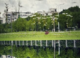 La inversión verde en infraestructura hídrica marca el futuro de la sostenibilidad empresarial A reflection of a park in a body of water