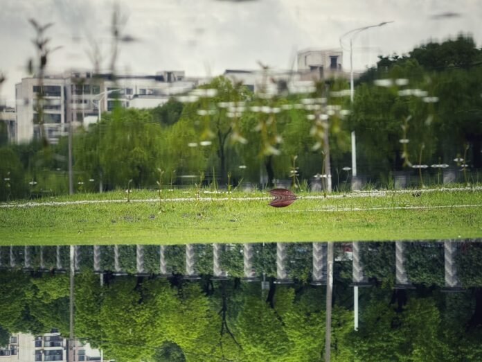 A reflection of a park in a body of water