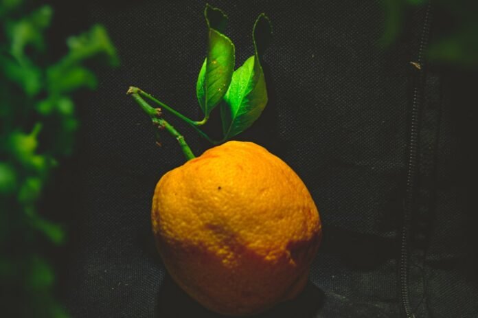 orange fruit on black textile