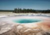 El Universo Yellowstone Se Expande: Rancho Dutton Promete Elevar la Intensidad Dramática a large body of water with trees in the background