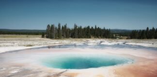 El Universo Yellowstone Se Expande: Rancho Dutton Promete Elevar la Intensidad Dramática a large body of water with trees in the background