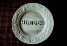 Las tensiones entre Hungría y Bruselas revelan las fracturas internas de la Unión Europea white and gold ceramic round plate