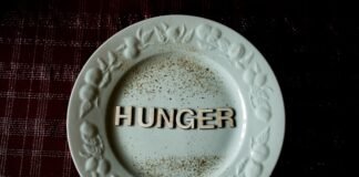 Las tensiones entre Hungría y Bruselas revelan las fracturas internas de la Unión Europea white and gold ceramic round plate