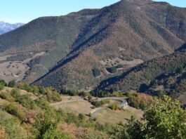 El legado taurino de Poti Bohórquez renace en los ruedos sevillanos green trees on mountain during daytime