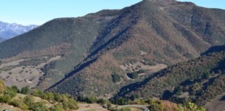 El legado taurino de Poti Bohórquez renace en los ruedos sevillanos green trees on mountain during daytime