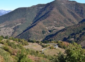 El legado taurino de Poti Bohórquez renace en los ruedos sevillanos green trees on mountain during daytime
