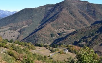 El legado taurino de Poti Bohórquez renace en los ruedos sevillanos green trees on mountain during daytime