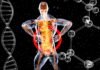 La tecnología biométrica revoluciona los controles fronterizos en la Operación Paso del Estrecho 2026 a skeleton with a red and blue body suit and long legs