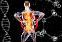 La tecnología biométrica revoluciona los controles fronterizos en la Operación Paso del Estrecho 2026 a skeleton with a red and blue body suit and long legs