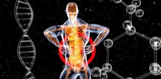 La tecnología biométrica revoluciona los controles fronterizos en la Operación Paso del Estrecho 2026 a skeleton with a red and blue body suit and long legs