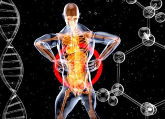 La tecnología biométrica revoluciona los controles fronterizos en la Operación Paso del Estrecho 2026 a skeleton with a red and blue body suit and long legs