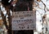 La fuga temeraria: cuando la euforia del motociclismo se convierte en riesgo vial a sign on a tree