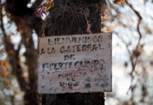 La fuga temeraria: cuando la euforia del motociclismo se convierte en riesgo vial a sign on a tree