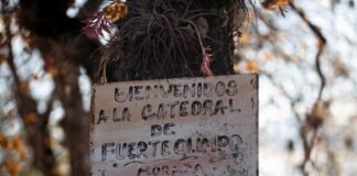 La fuga temeraria: cuando la euforia del motociclismo se convierte en riesgo vial a sign on a tree