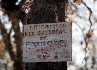 La fuga temeraria: cuando la euforia del motociclismo se convierte en riesgo vial a sign on a tree