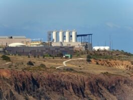 La industria nuclear española enfrenta una paradoja: oportunidades crecientes con talento menguante green truck running near plantation building