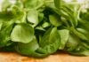 La revolución culinaria española conquista Estados Unidos: el fenómeno de los chefs hispanos en la alta gastronomía americana green leaves on brown wooden table