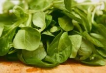 La revolución culinaria española conquista Estados Unidos: el fenómeno de los chefs hispanos en la alta gastronomía americana green leaves on brown wooden table