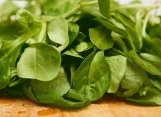 La revolución culinaria española conquista Estados Unidos: el fenómeno de los chefs hispanos en la alta gastronomía americana green leaves on brown wooden table