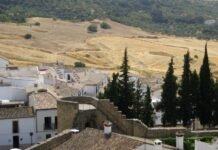 El auge de los milmillonarios españoles: cuando la bolsa convierte inversores en magnates photo of house on near trees