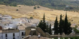 El auge de los milmillonarios españoles: cuando la bolsa convierte inversores en magnates photo of house on near trees