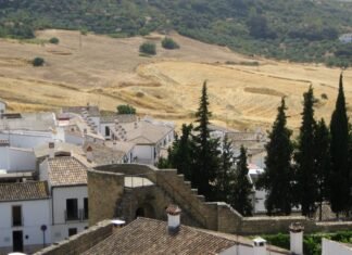 El auge de los milmillonarios españoles: cuando la bolsa convierte inversores en magnates photo of house on near trees