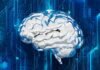 El Debate sobre la Inteligencia Artificial y el Empleo: Entre la Realidad y la Excusa Empresarial A computer circuit board with a brain on it