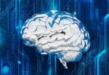 El Debate sobre la Inteligencia Artificial y el Empleo: Entre la Realidad y la Excusa Empresarial A computer circuit board with a brain on it