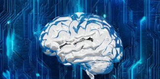 El Debate sobre la Inteligencia Artificial y el Empleo: Entre la Realidad y la Excusa Empresarial A computer circuit board with a brain on it