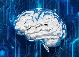 El Debate sobre la Inteligencia Artificial y el Empleo: Entre la Realidad y la Excusa Empresarial A computer circuit board with a brain on it