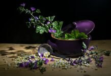 La nostalgia culinaria de Martín Berasategui: cuando la simplicidad supera a las estrellas Michelin purple flowers in black pot