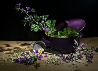 La nostalgia culinaria de Martín Berasategui: cuando la simplicidad supera a las estrellas Michelin purple flowers in black pot