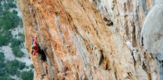 El sector asegurador español acelera su consolidación tras un año de crecimiento sostenido person climbing mountain during day