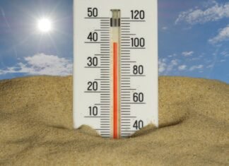 El paradójico dilema del clima mediterráneo: cuando la abundante vegetación aumenta el riesgo de incendios forestales The thermometer shows a very hot temperature.